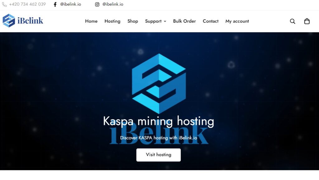 iBelink IO Europe official website